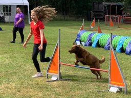 Agility Turnier 2024